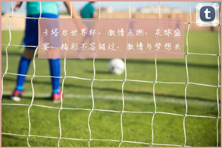卡塔尔世界杯，激情点燃，足球盛宴，精彩不容错过，激情与梦想共舞