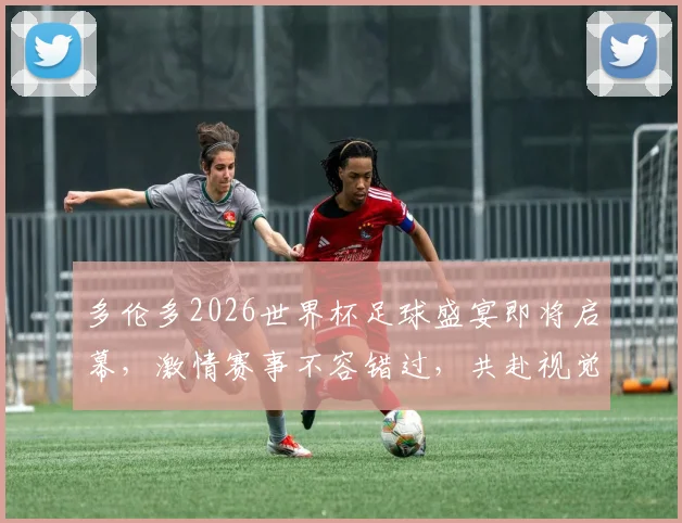 多伦多2026世界杯足球盛宴即将启幕，激情赛事不容错过，共赴视觉盛宴
