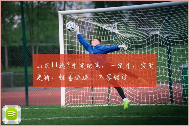 山东11选5开奖结果，一定牛，实时更新，惊喜连连，不容错过