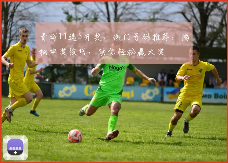 青海11选5开奖，热门号码推荐，揭秘中奖技巧，助你轻松赢大奖